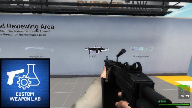 FN minimi CWL — Left 4 Dead 2 Steam Workshop preview image