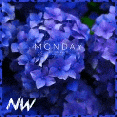 Bush N' Hydrangea. — Wallpaper Engine Steam Workshop preview image