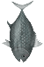Fish Rebalance — Kenshi Workshop preview