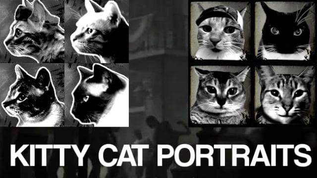left 4 dead 1 and 2 kitty cat portraits — Left 4 Dead 2 Steam Workshop preview image