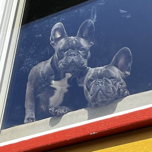 My Dogs As The Twins — Terraria Steam Workshop preview image