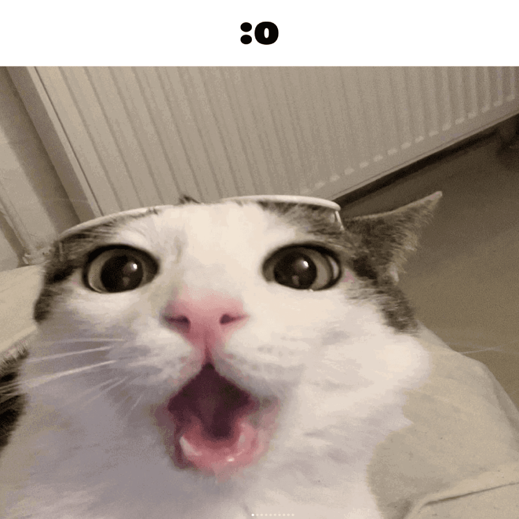 Surprised Cat Spray — Left 4 Dead 2 Steam Workshop preview image