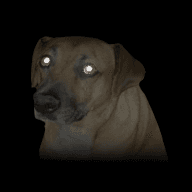 MEGA jacinto — The Binding of Isaac: Rebirth Workshop preview
