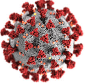 COVID-19 — Plague Inc: Evolved Workshop preview