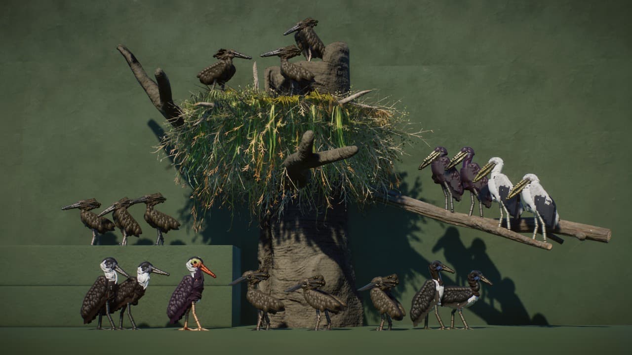 Robustus' Storks and Hamerkop — Planet Zoo Steam Workshop preview image