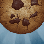 Cookies! — Plague Inc: Evolved Steam Workshop preview image