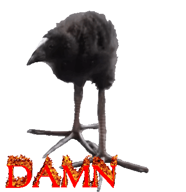 Damn bird for dead bird — The Binding of Isaac: Rebirth Steam Workshop preview image