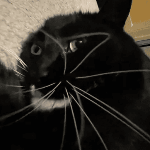 My cat over the Pillars — Terraria Steam Workshop preview image