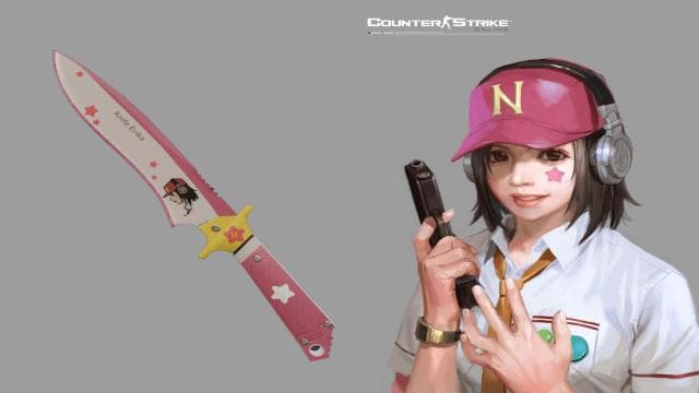 Knife-Erika(CSOL) — Left 4 Dead 2 Workshop preview