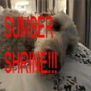 Summer Shrine — Don't Starve Together Workshop preview