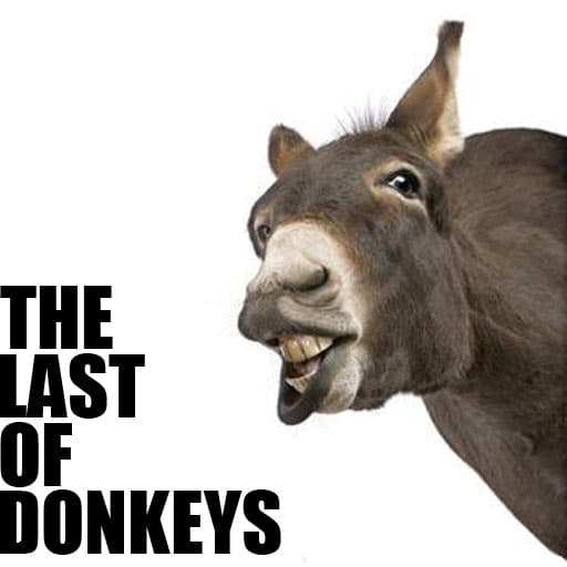 THE LAST OF DONKEYS — Dota 2 Workshop preview