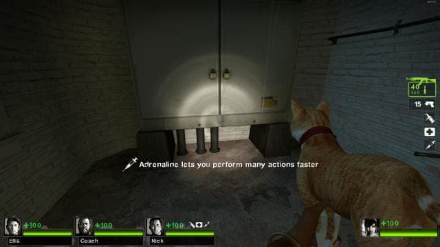 Cat AK47 — Left 4 Dead 2 Steam Workshop preview image