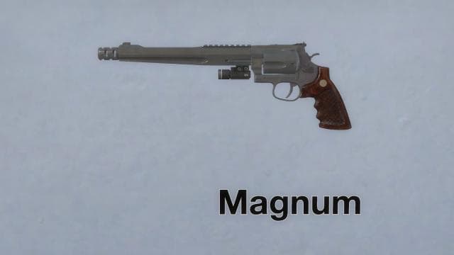 RE4 Remake S&W 500 (MW Anim) — Left 4 Dead 2 Steam Workshop preview image