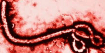 Ebola — Plague Inc: Evolved Workshop preview