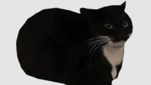 Medkit cat RNG — Left 4 Dead 2 Steam Workshop preview image