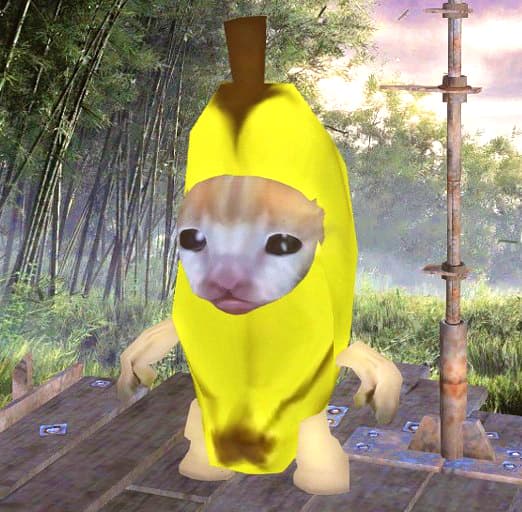 New Race happy cat — Kenshi Steam Workshop preview image