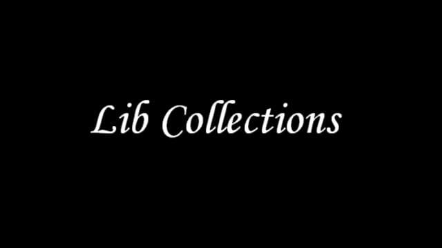 Lib Collections — Left 4 Dead 2 Steam Workshop preview image