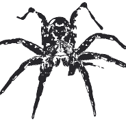 [GER] Arachnophobia — Plague Inc: Evolved Workshop preview