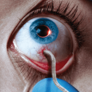 The Strain — Plague Inc: Evolved Steam Workshop preview image