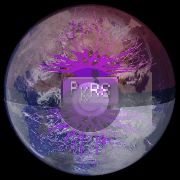 Curse of the Pokemon — Plague Inc: Evolved Workshop preview