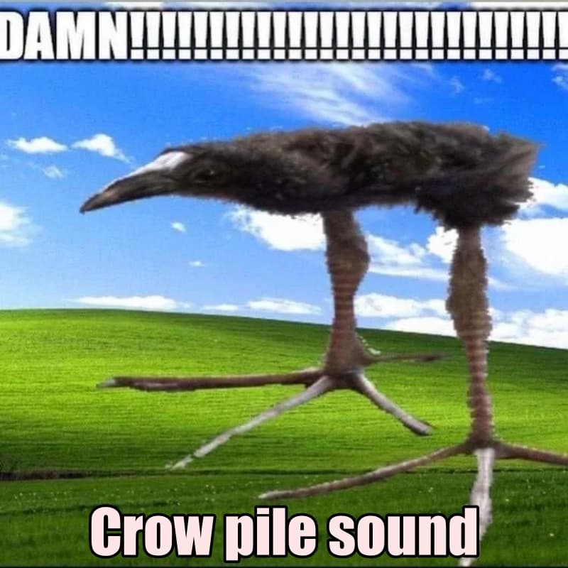 "DAMN!!!!!!" bird for crow pile sound — Left 4 Dead 2 Steam Workshop preview image