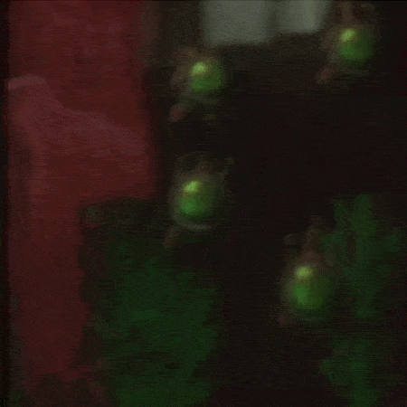Xen Fishes SNPCs — Garry's Mod Steam Workshop preview image
