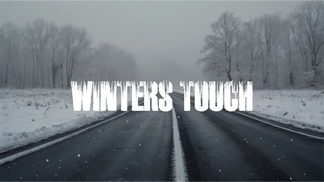 Winter's Touch ("Hidden Official Snow" mod) — Euro Truck Simulator 2 Workshop preview