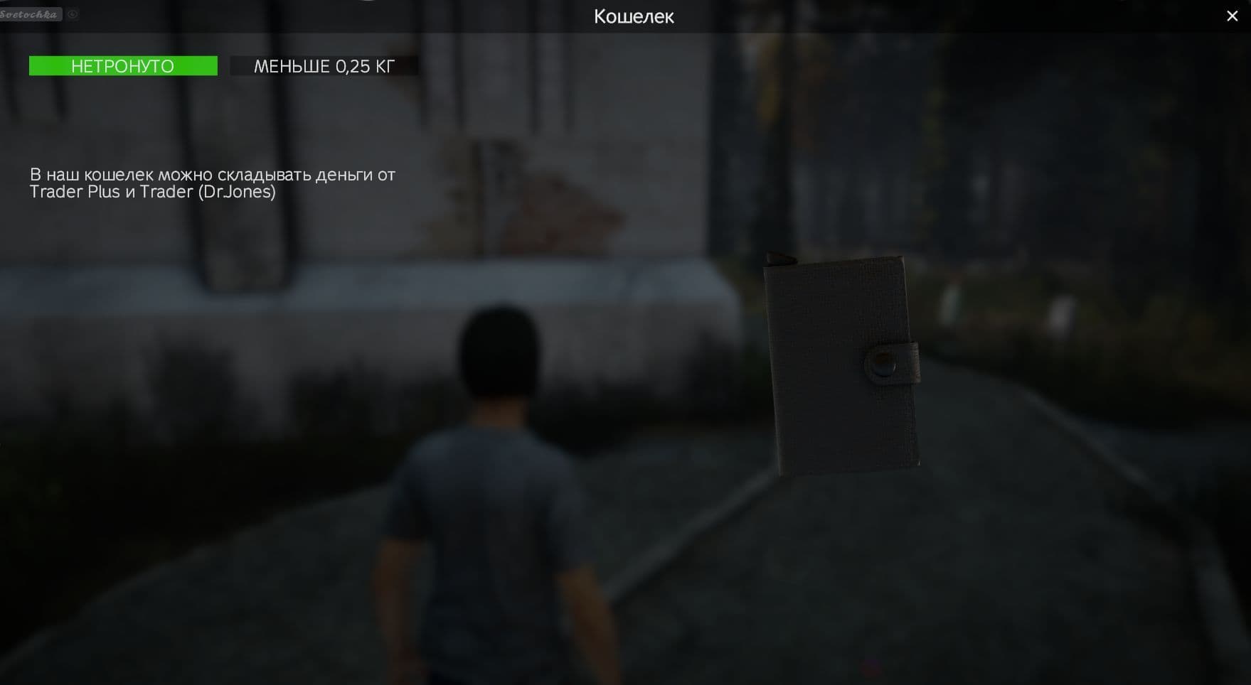 Wallet — DayZ Workshop preview