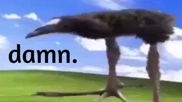 "DAMN!!!!!!!!!"  Bird - Horde Alert SFX Replacement — Left 4 Dead 2 Steam Workshop preview image