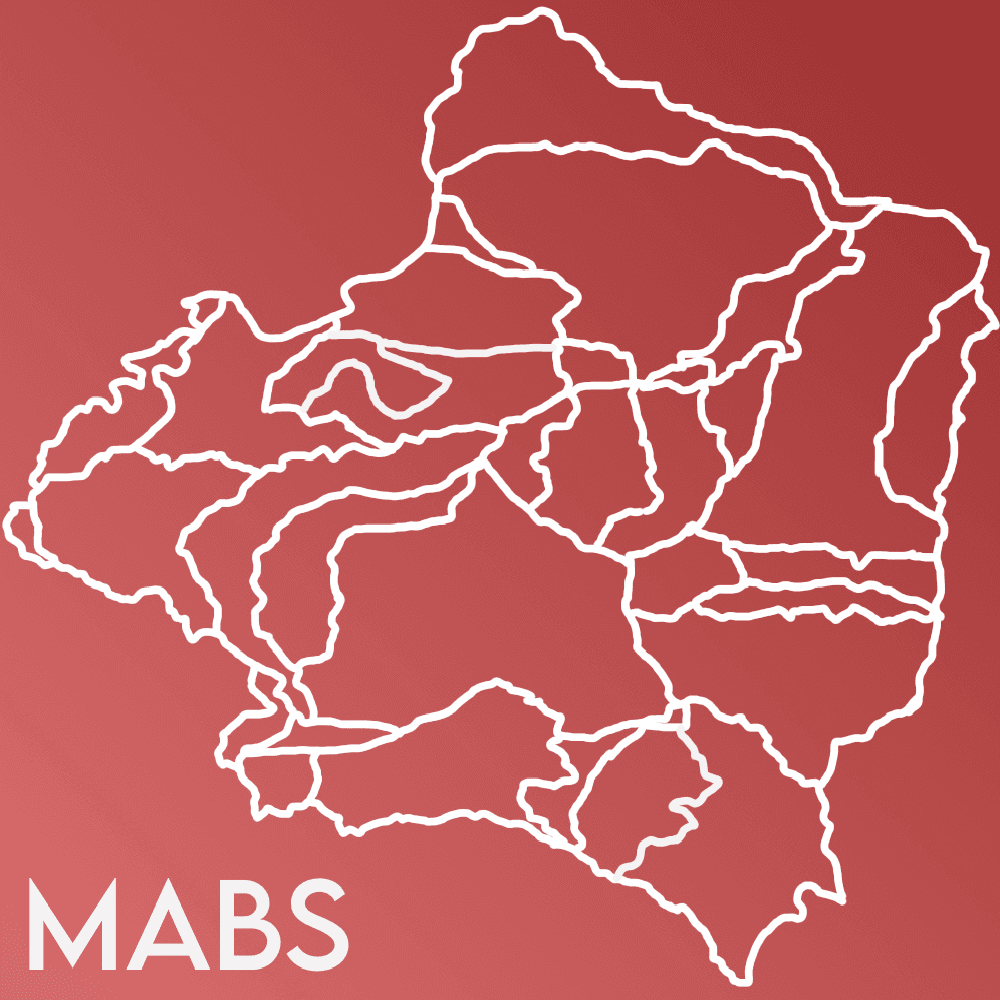 More And Better States — Hearts of Iron IV Workshop preview