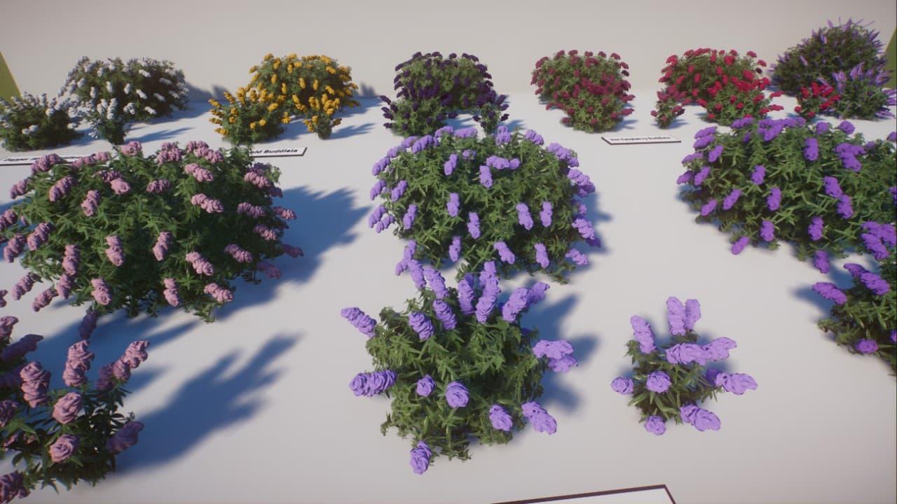 Buddleia/Butterfly Bush - CaptainCallum's Custom Foliage — Planet Zoo Workshop preview