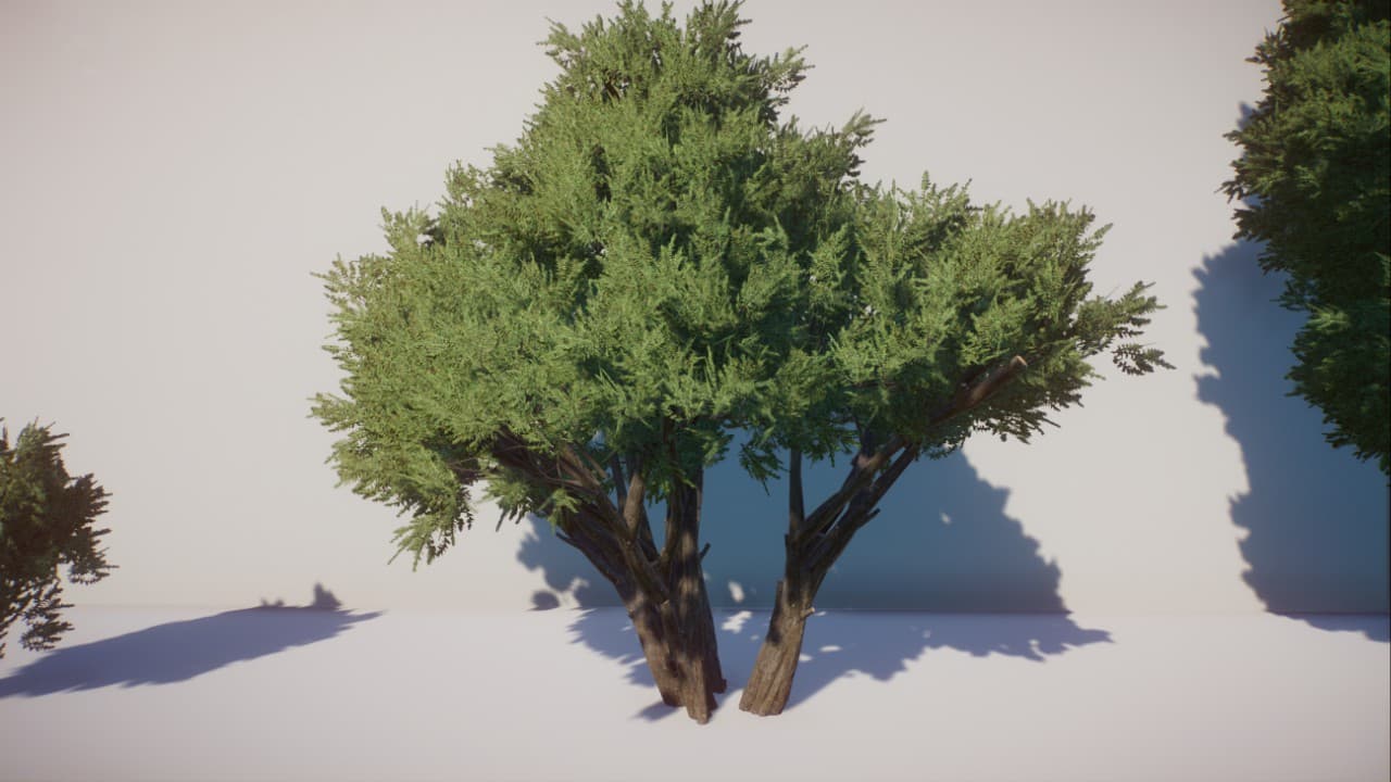 Black Willow Tree - CaptainCallum's Custom Foliage — Planet Zoo Steam Workshop preview image