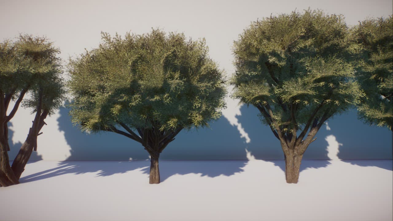 Mulga Tree - CaptainCallum's Custom Foliage — Planet Zoo Steam Workshop preview image