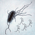 E.coli Fr — Plague Inc: Evolved Workshop preview