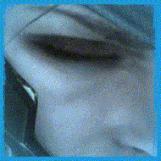 Raiden [Voice] (Francis) — Left 4 Dead 2 Steam Workshop preview image