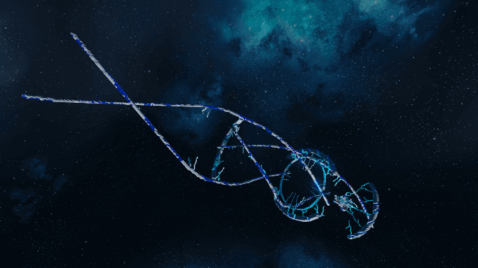 Lathe-Womb Orbital (fly-through ver) — Space Engineers Steam Workshop preview image