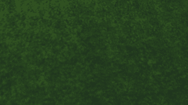 us-a50959 — Cities: Skylines Workshop preview