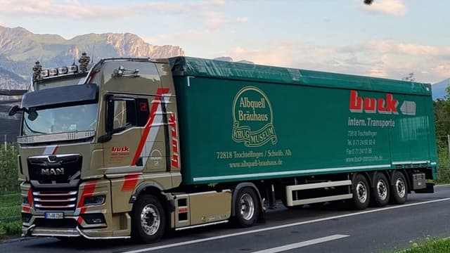 Combo Skin Buck Transporte — Euro Truck Simulator 2 Steam Workshop preview image
