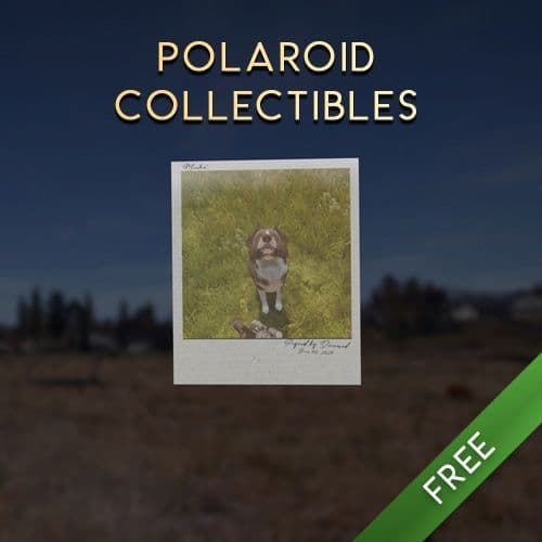 PolaroidCollectibles — DayZ Steam Workshop preview image
