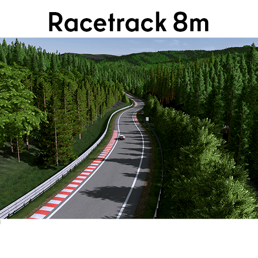 Racetrack 8m — Cities: Skylines Steam Workshop preview image
