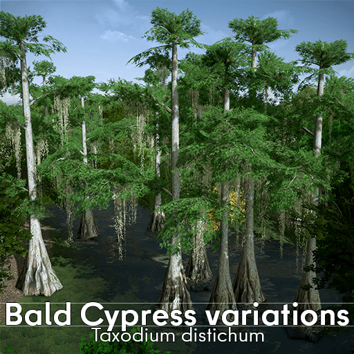 Bald Cypress variations — Cities: Skylines Steam Workshop preview image