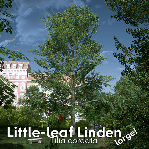 Little-leaf Linden large — Cities: Skylines Steam Workshop preview image