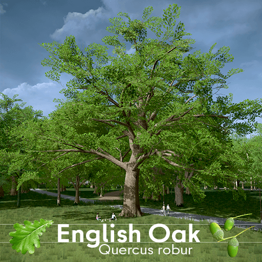 English Oak — Cities: Skylines Steam Workshop preview image