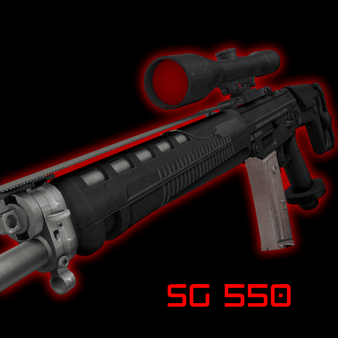 SIG SG550
 — Left 4 Dead 2 Steam Workshop preview image