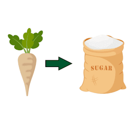 [B42.2*] Make sugar — Project Zomboid Steam Workshop preview image