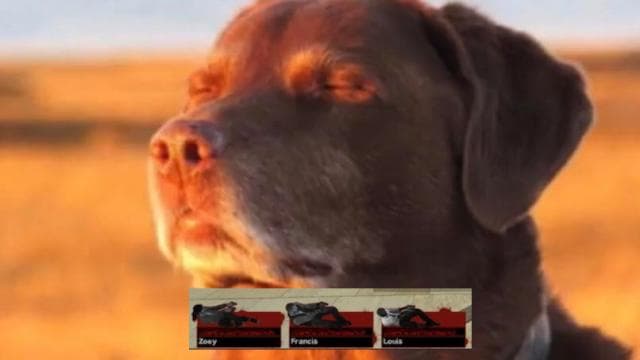 Death Music : Let Me Know Meme (Slowed + Reverb) — Left 4 Dead 2 Workshop preview